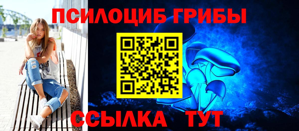 магазин  наркотиков  Вход с VPN  Златоуст  Галлюциногенные грибы мицелий 